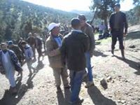 كمال الوردي