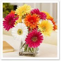 تسنيم الشرمان