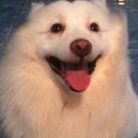 Peeranutt Prasertsood