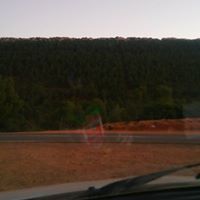 مصطفى بن عزي