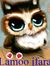 Lamoo J...
