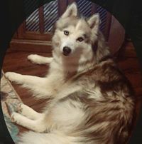 Josalyn Andrzejewski