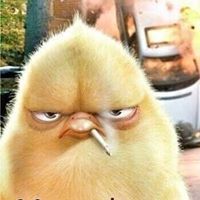 Александр Цапок