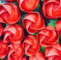 Stefanivella Stefanivella