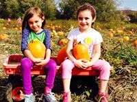 Christopher Johnston