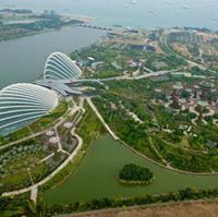 محب العربية