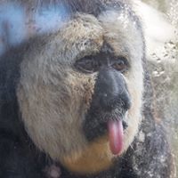 John-James McChesney