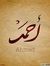 Ahmed H...