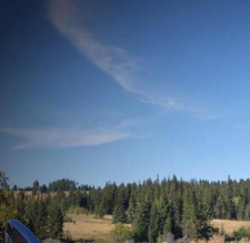 Kathy Lauriente-Bonner