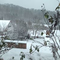 Suzanne Higginbotham