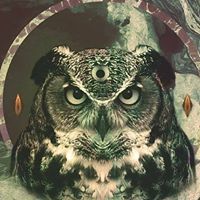 Jeannine Philbin Liptrap