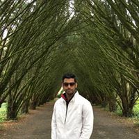Vivek Yadav