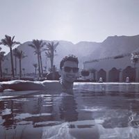 Muhammad Morsy