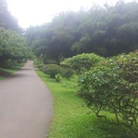 الرحبي الهمداني