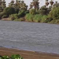 محمد علي الصادق