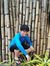 CK Pacete