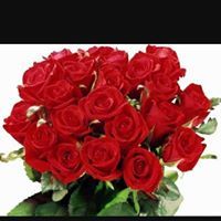 هدى عبدالرحمن