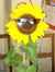 Eveline...