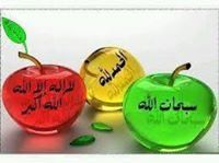 Maha Nasser Eldamery