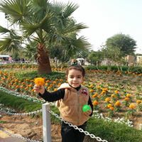 Mohamed Elsayed