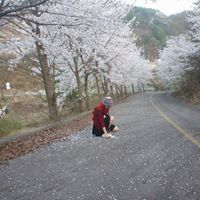 Bích Hạnh
