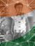 Surya S...