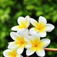 Sheetal Bhagwat-Bachhav