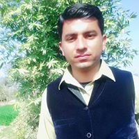 Muhammad Waseem