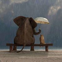 Батхүүгийн Сугармаа