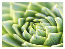 Passe Partout Reading