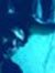 Shashik...