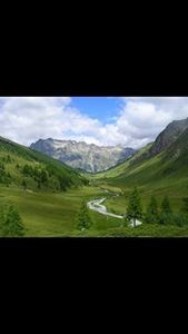 محمد الرشيدي