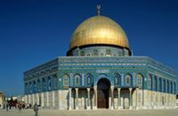 حاتم ابوالنجا