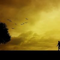 সজীব আবির