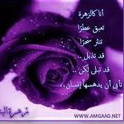 زهرة البنفسج