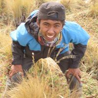 Jauh Hari
