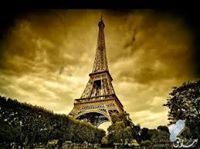 نوف الغامدي