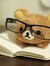 Kenta 