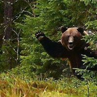 Benjamin Stuart Hankins