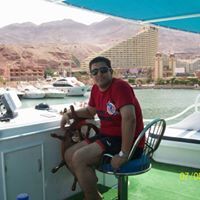 Mahmoud Labib