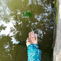 মেলাঘ জিয়ানা