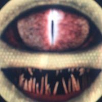 Javier Saenz De Viteri