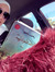 Malak Alkary