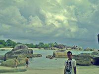 Sigit Brandy