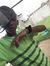 Javid H...