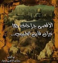 صفاء العملة