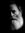 Shawn Shawhan