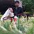 Shubhakaran Reddy