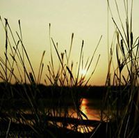 റൈസ പർവീൺ