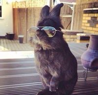 Вася Мицканюк